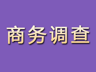 海宁商务调查